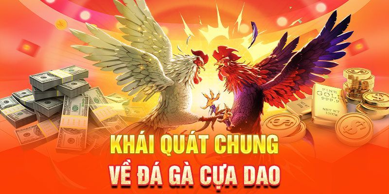 Đá Gà Cựa Dao Là Gì?